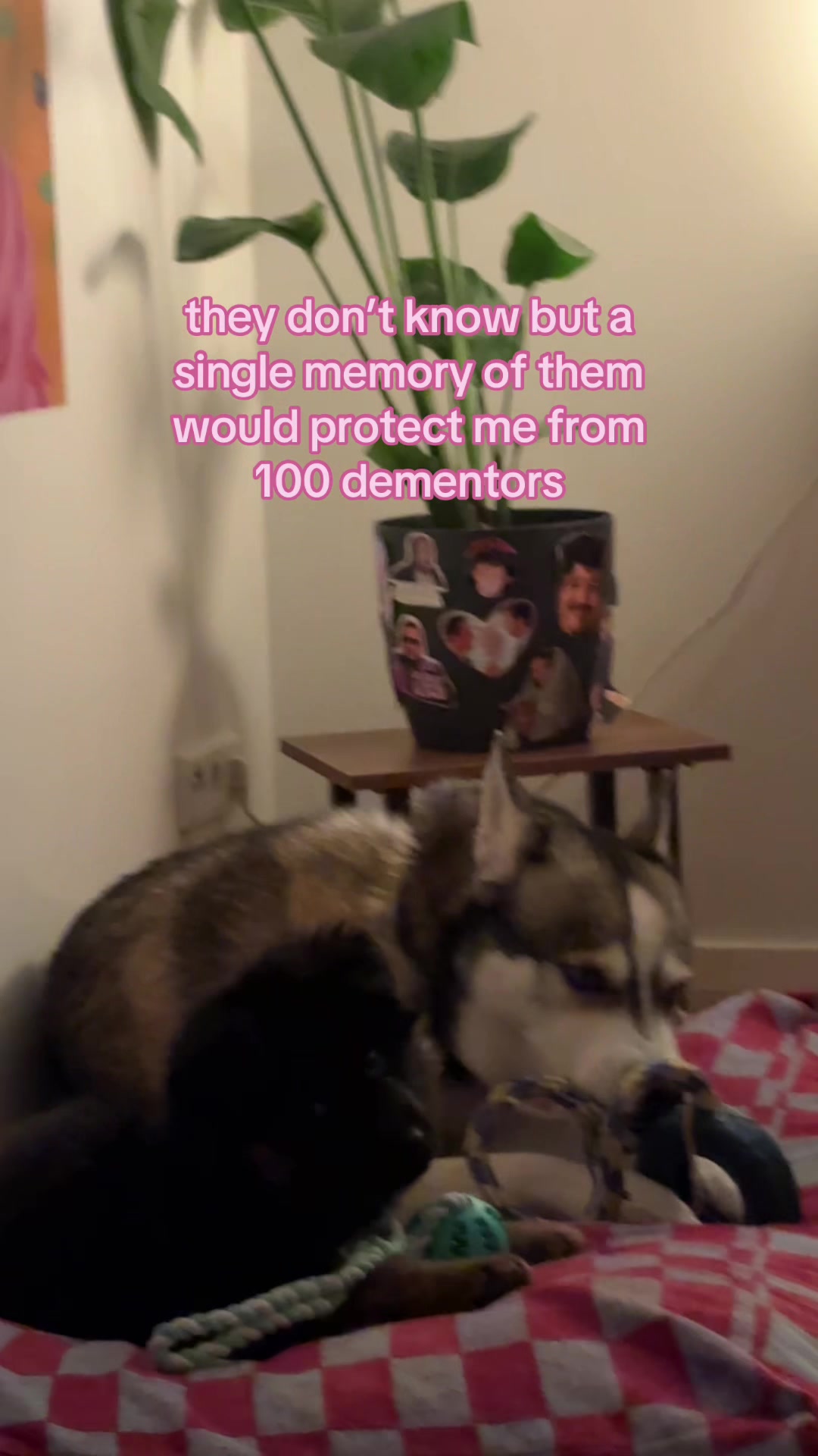 @wendyyy