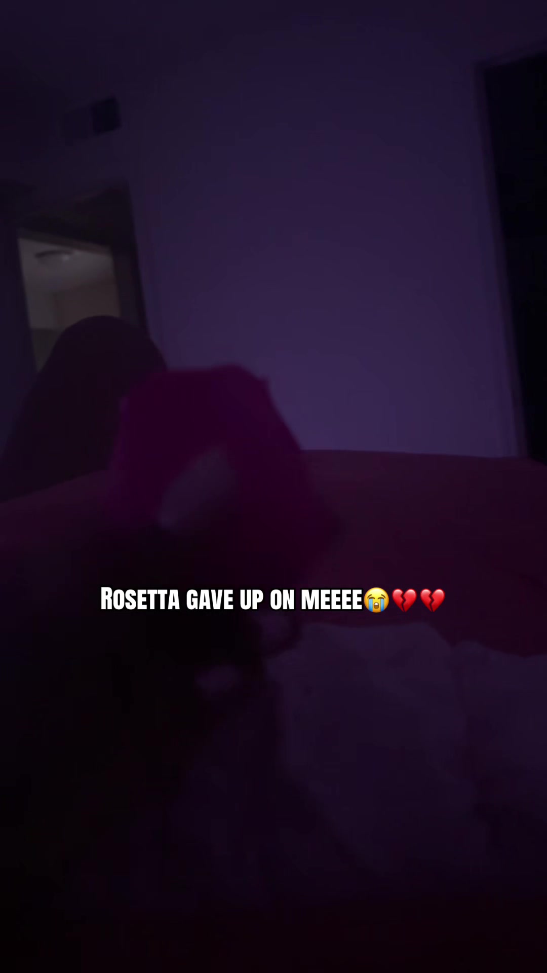 @_ms.h0lly_wood