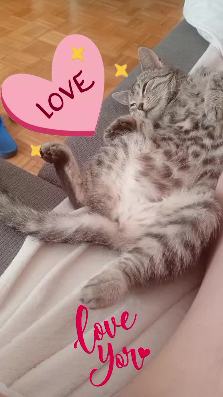 @OGÓREKKSIĘDZA Proboszcza magia