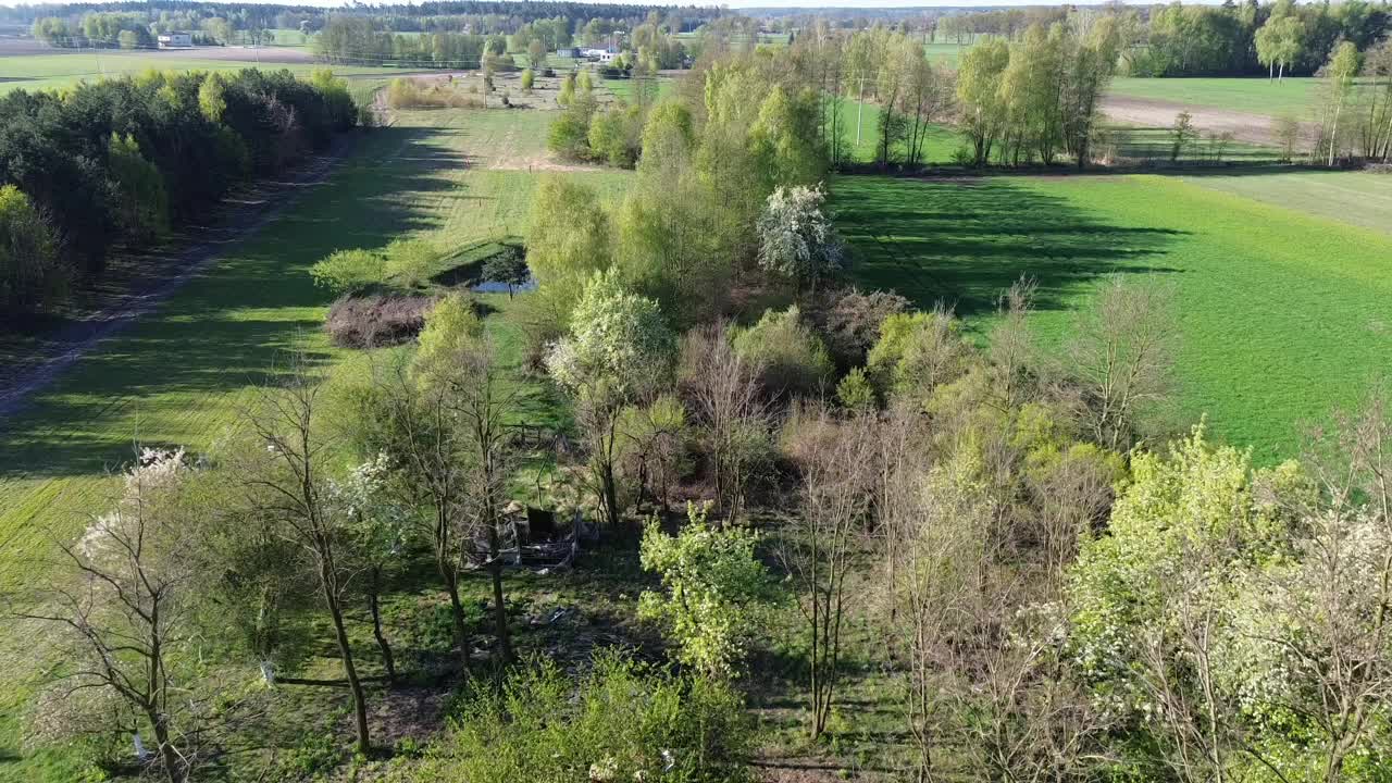 @piotrlewandowski492