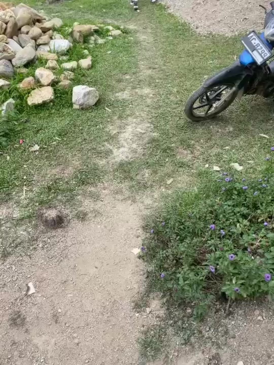 @👣