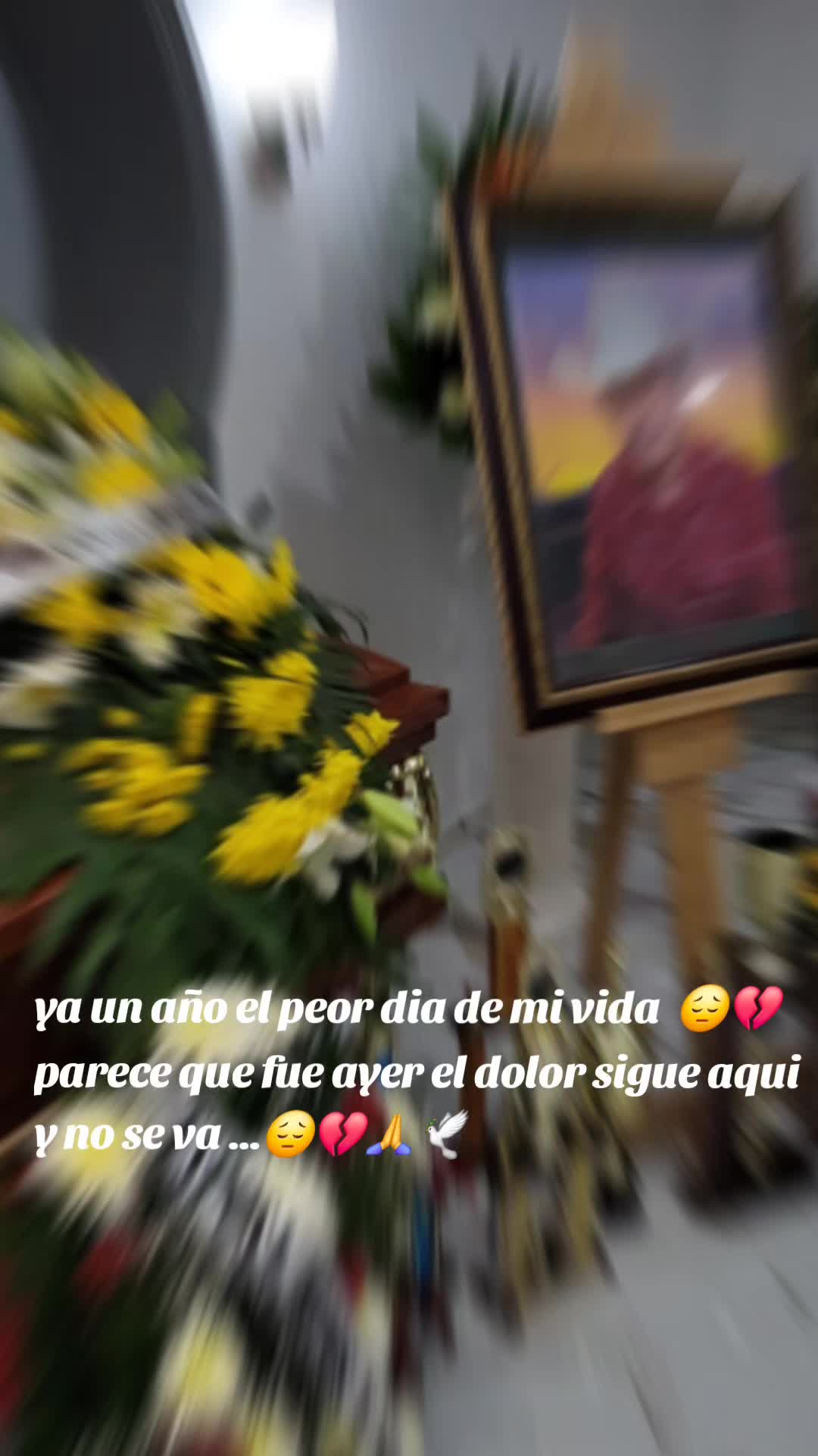 @ClauRojas51❤