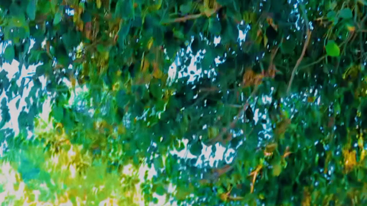@اظھار سنڌي❣️