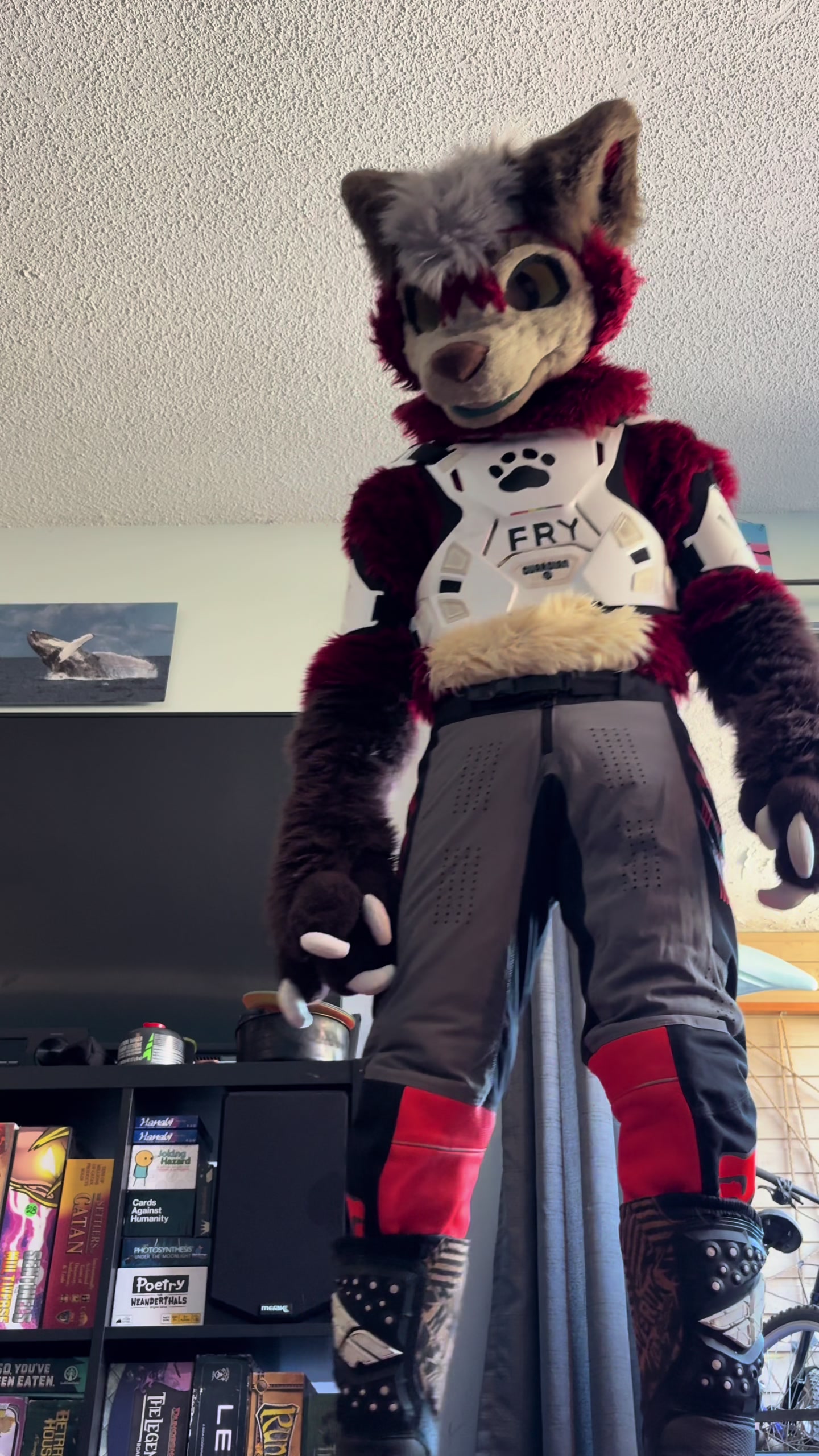 @Fry The Dumb Fox (Official)