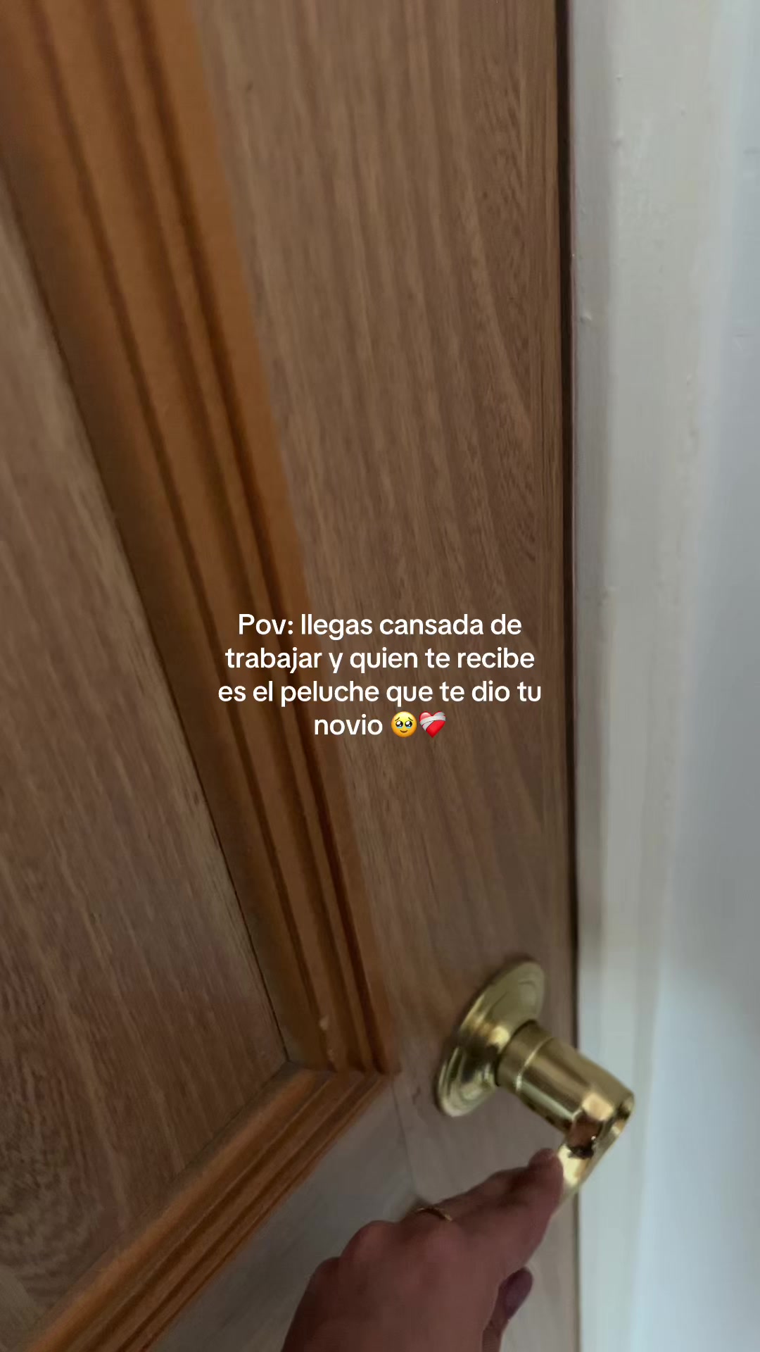 @𝔰𝔬𝔣𝔣