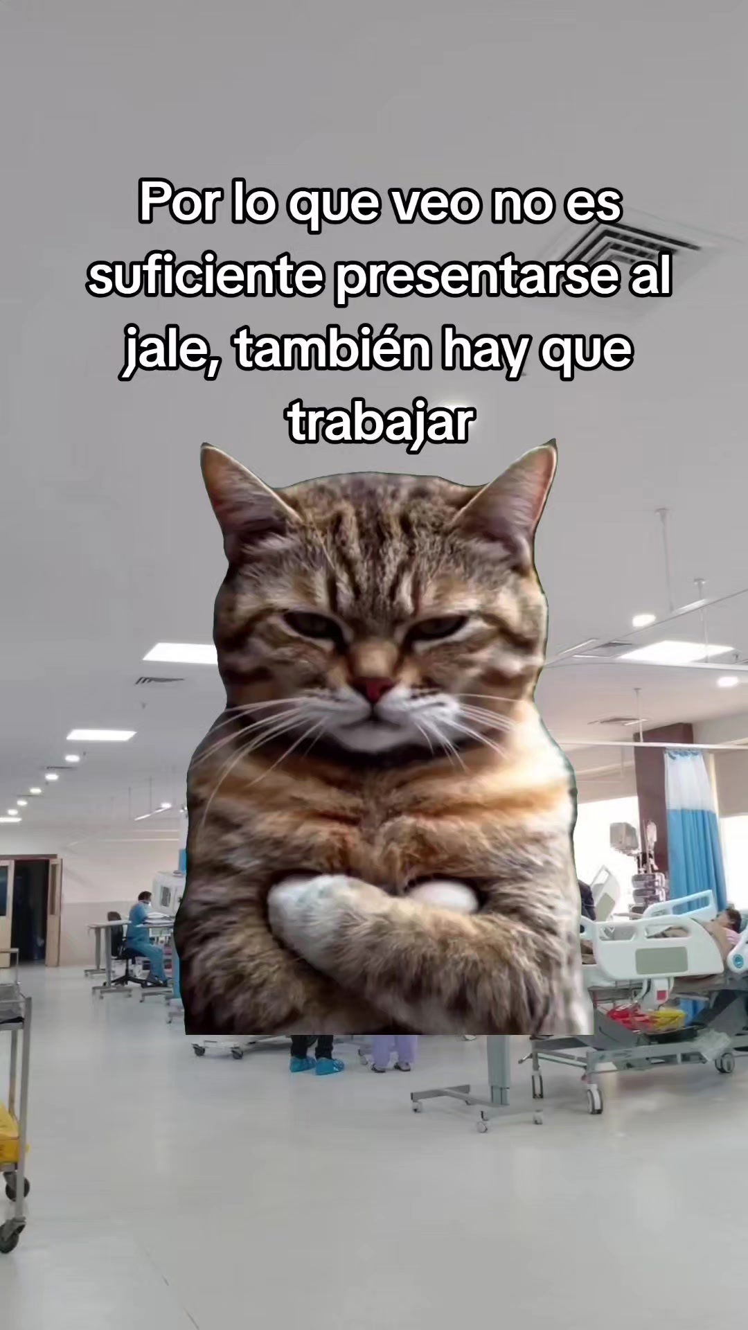 @AdultoChiquito