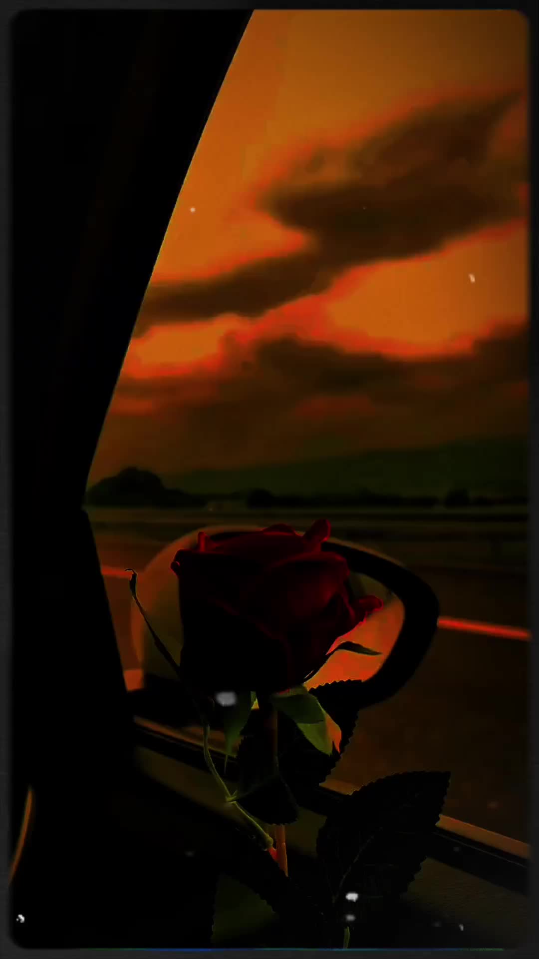 @✦𝑫𝒆𝒂𝒅 ♡ 𝑺𝒐𝒖𝒍𓂃═════💔