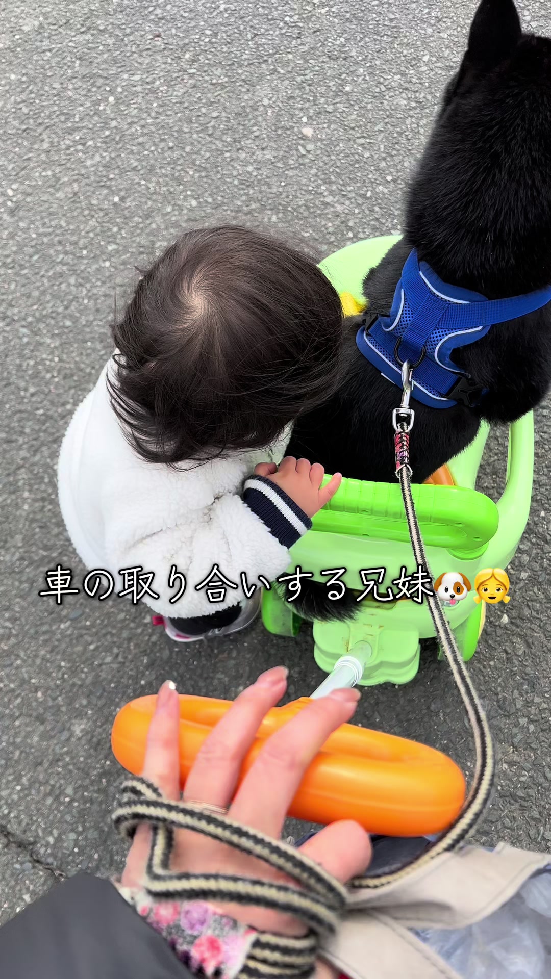 @シャクレ犬