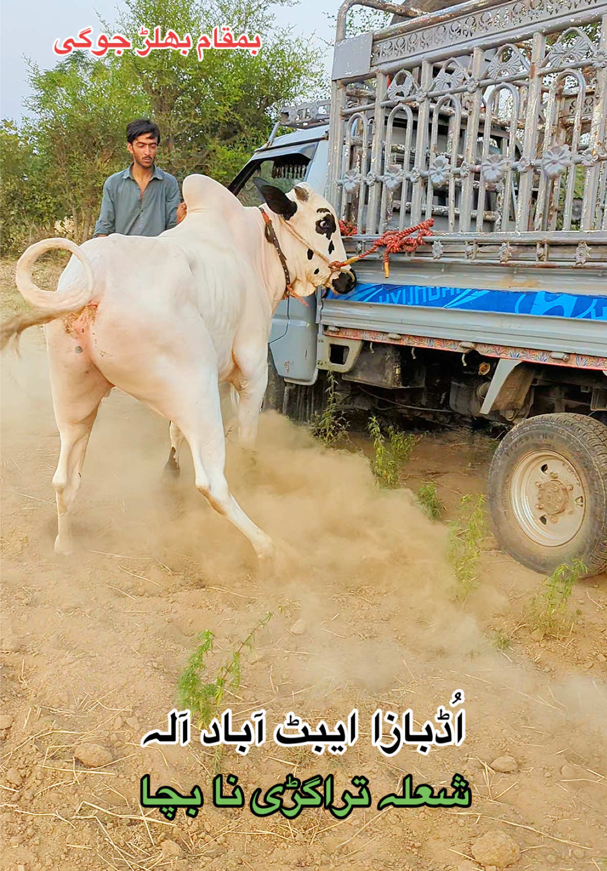 @محمد جنید (ایبٹ آباد)