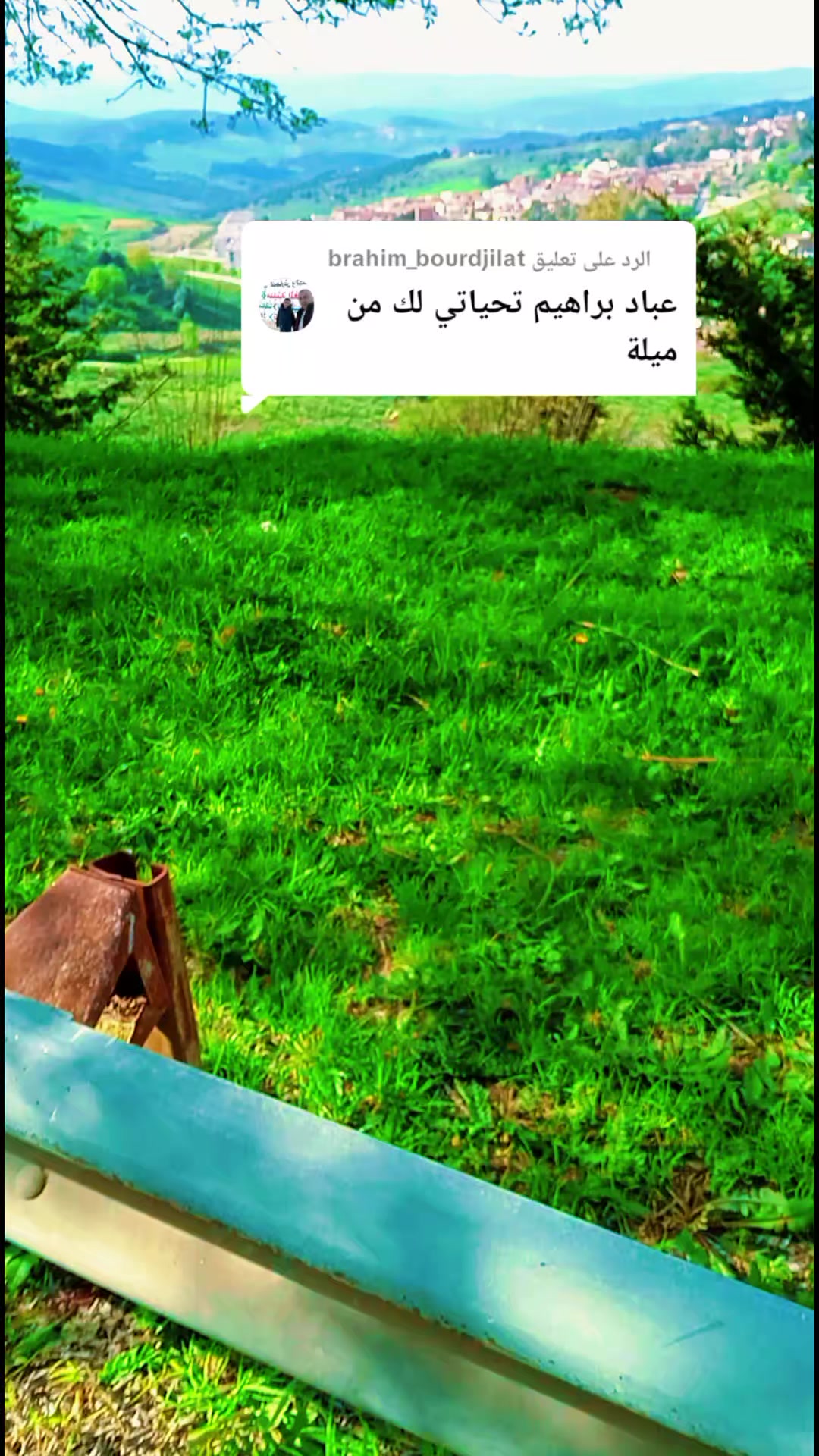 @نوارة 41