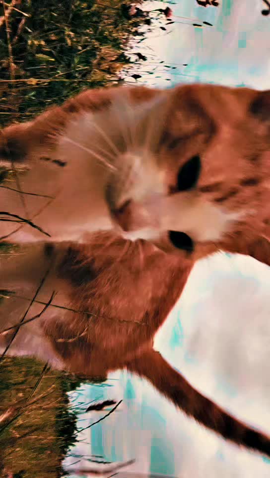 @☘ ᘻᵃʳ_Ꮆ🅾️ ☘
