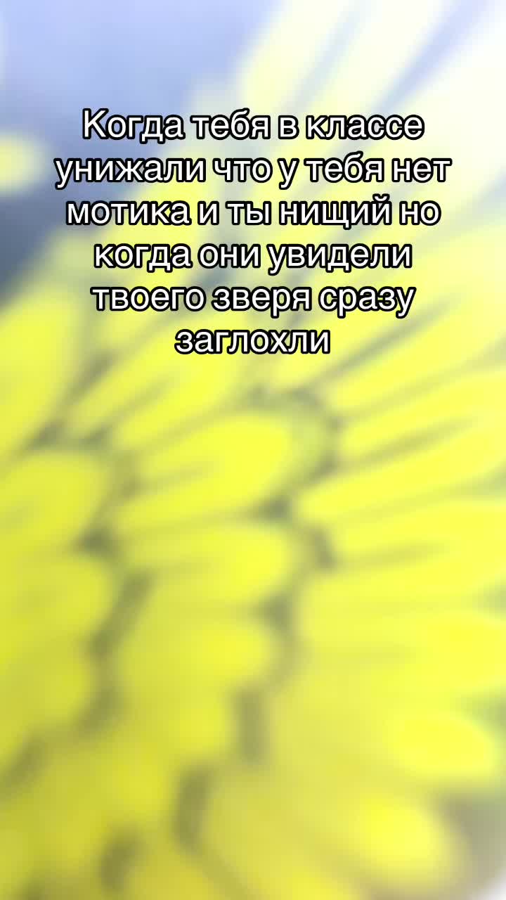 @Tri_shyki