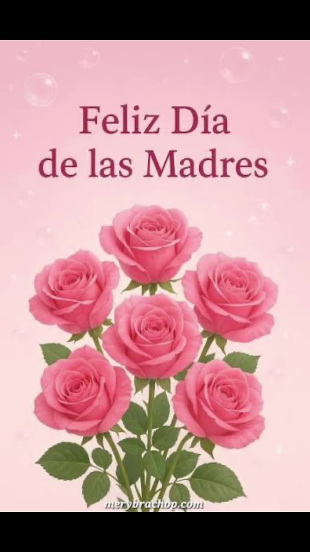@MARYAMC21🌸💖
