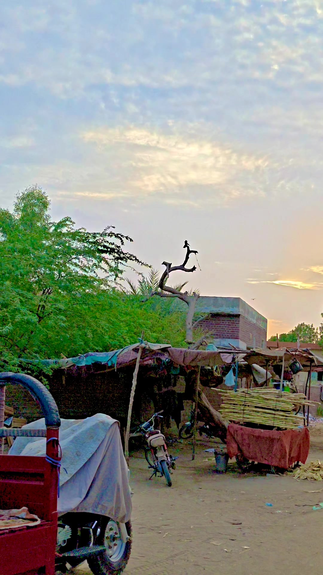 @Thari mir wah
