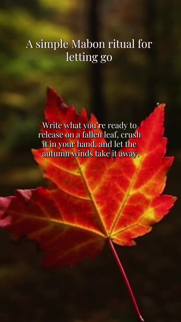 @Jasmin | A Rooted Life
