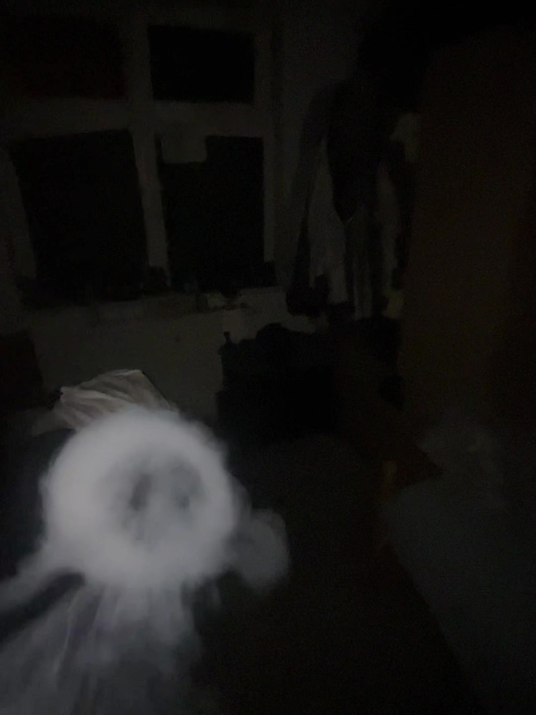 @𝓣𝓱𝓮 𝓙𝓮𝓵𝓵𝔂 𝓕𝓲𝓼𝓱🪼