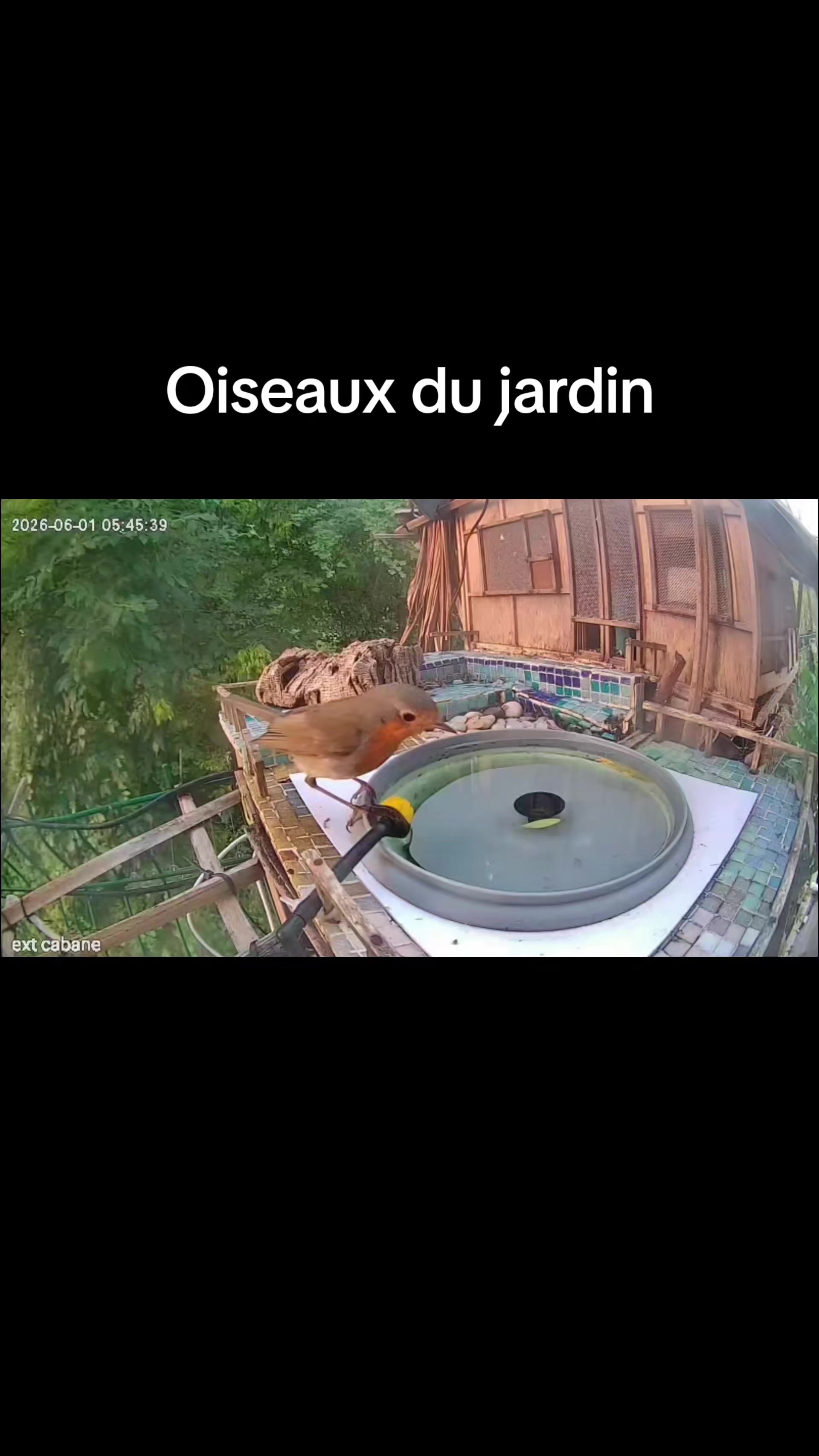 @A la D&eacute;couverte du Monde