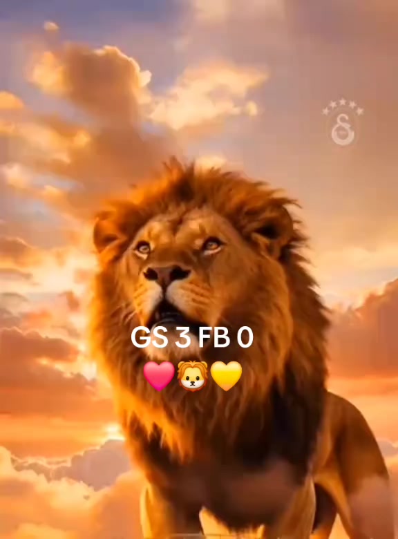 @Ramoo37