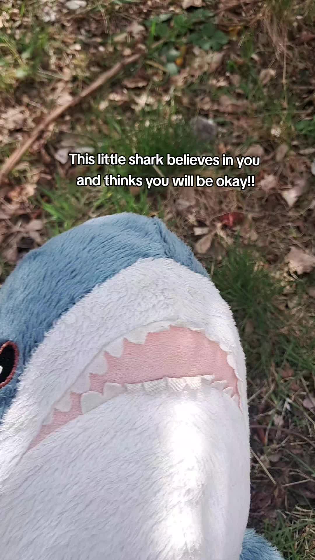 @Willie the Shark <3