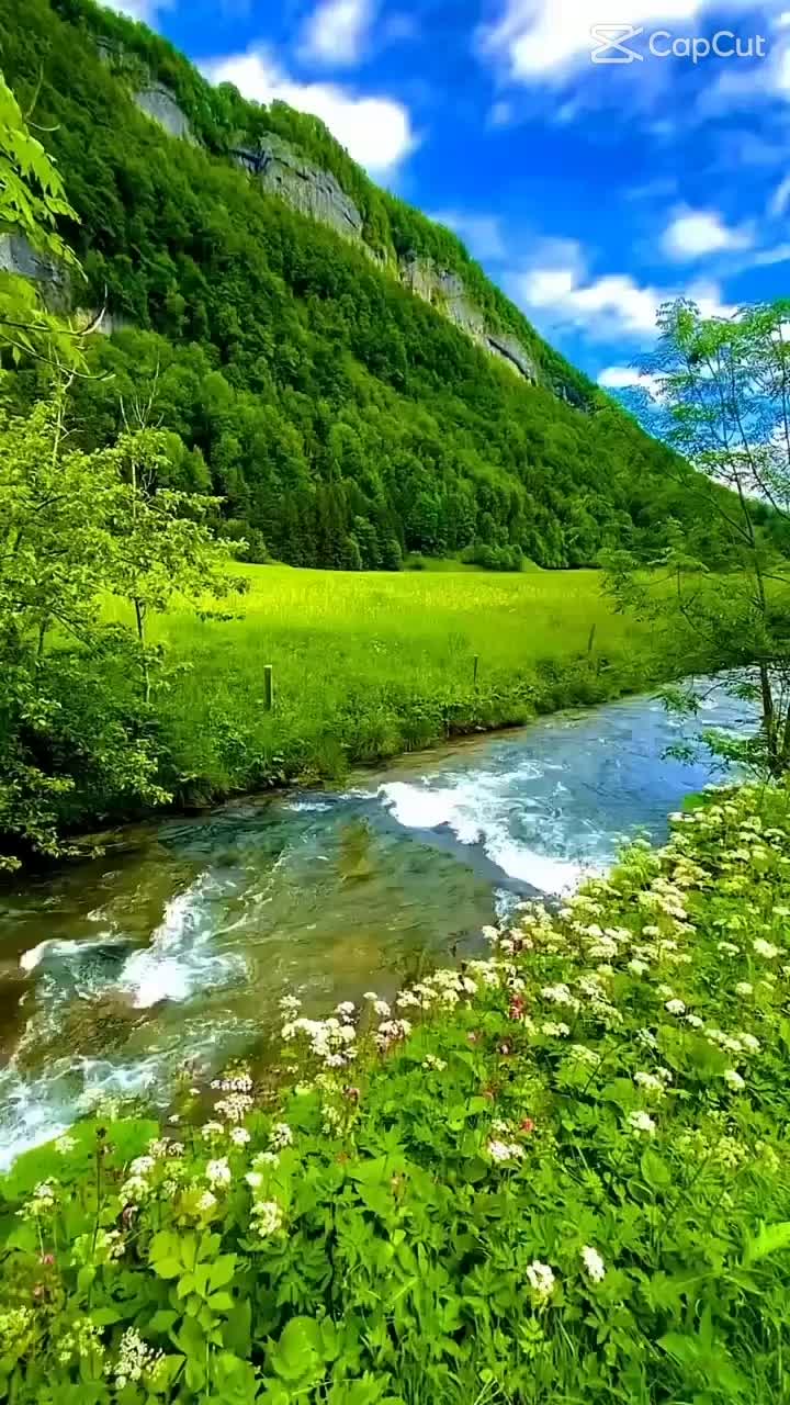 @Murat Uçar💚🇩🇪❤️⚘️🇹🇷✌️🇨🇴