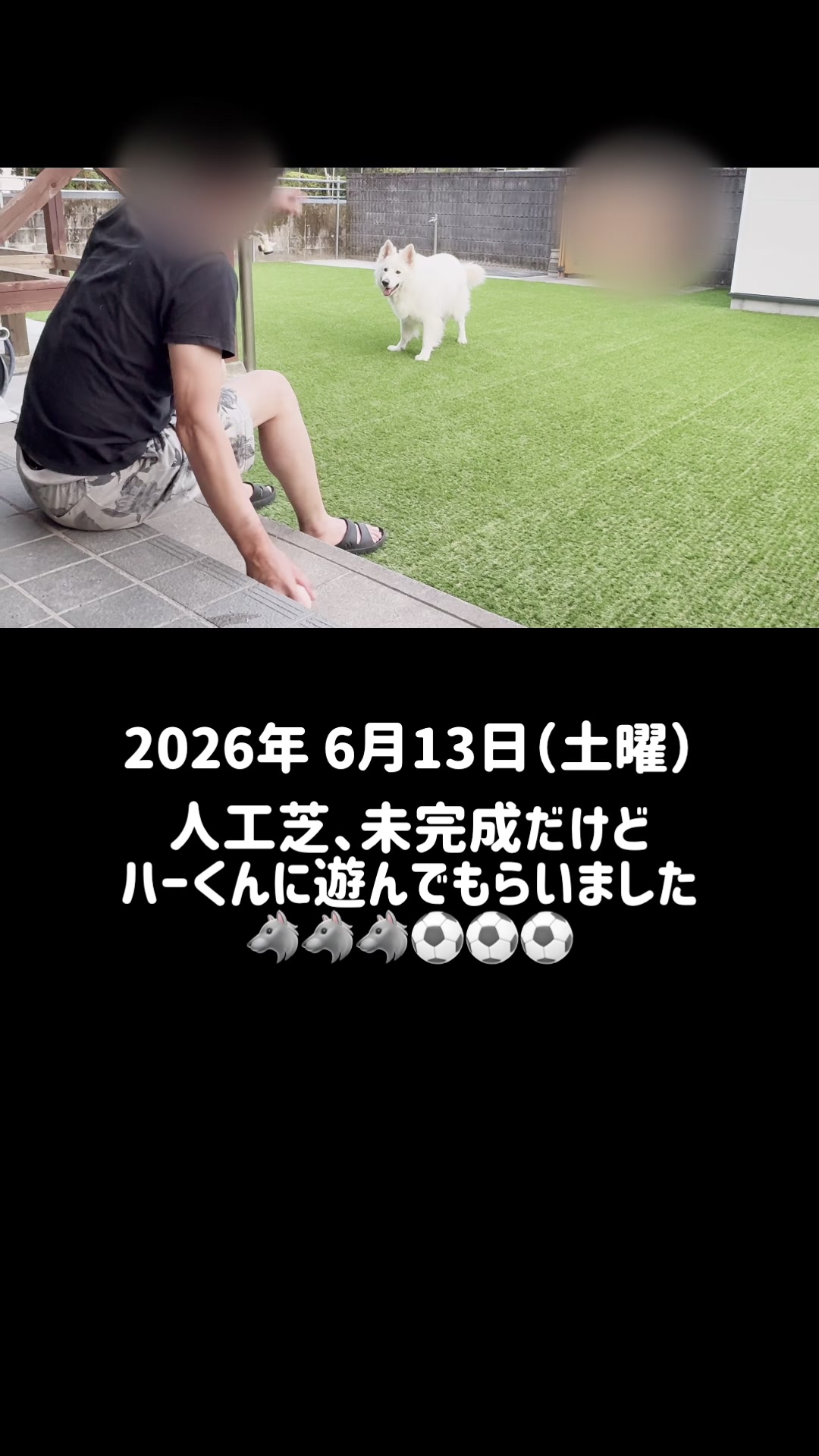 @ねこぷにもふ｜ホワイトシェパードのハクちゃん