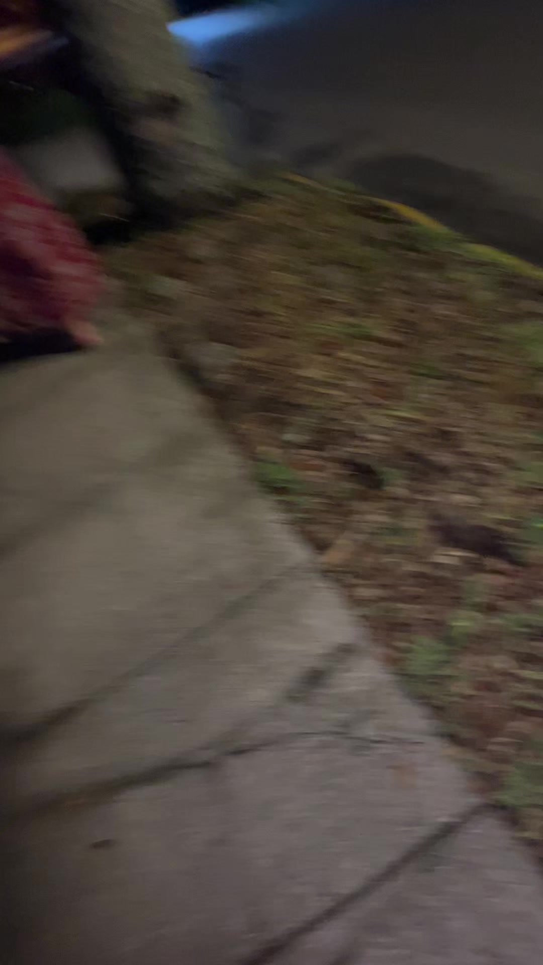 @brookealana
