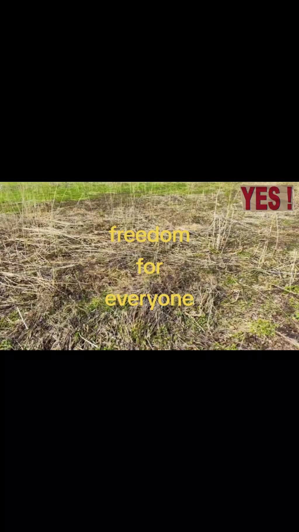 @käsebrot <3