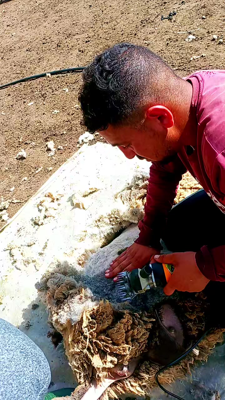 @جيهاد😻❤️🔥
