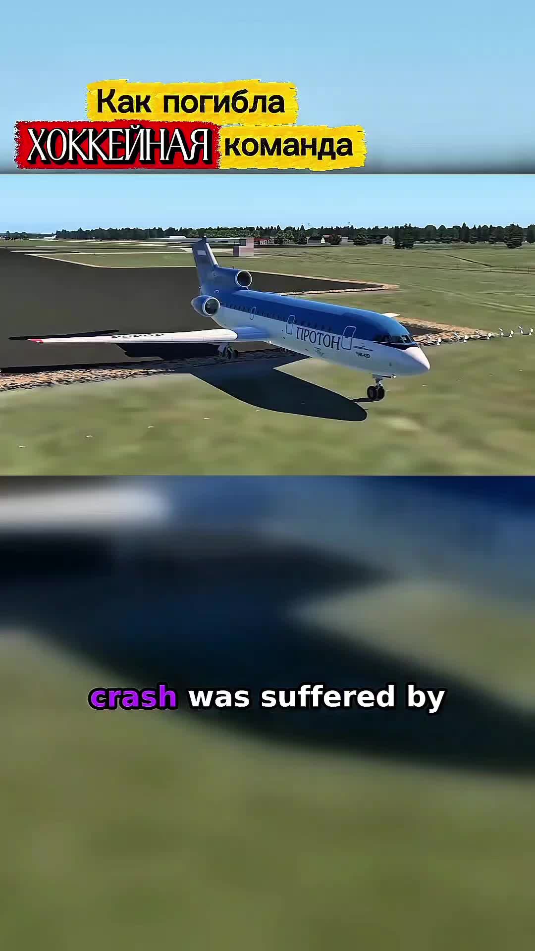 @Yuri