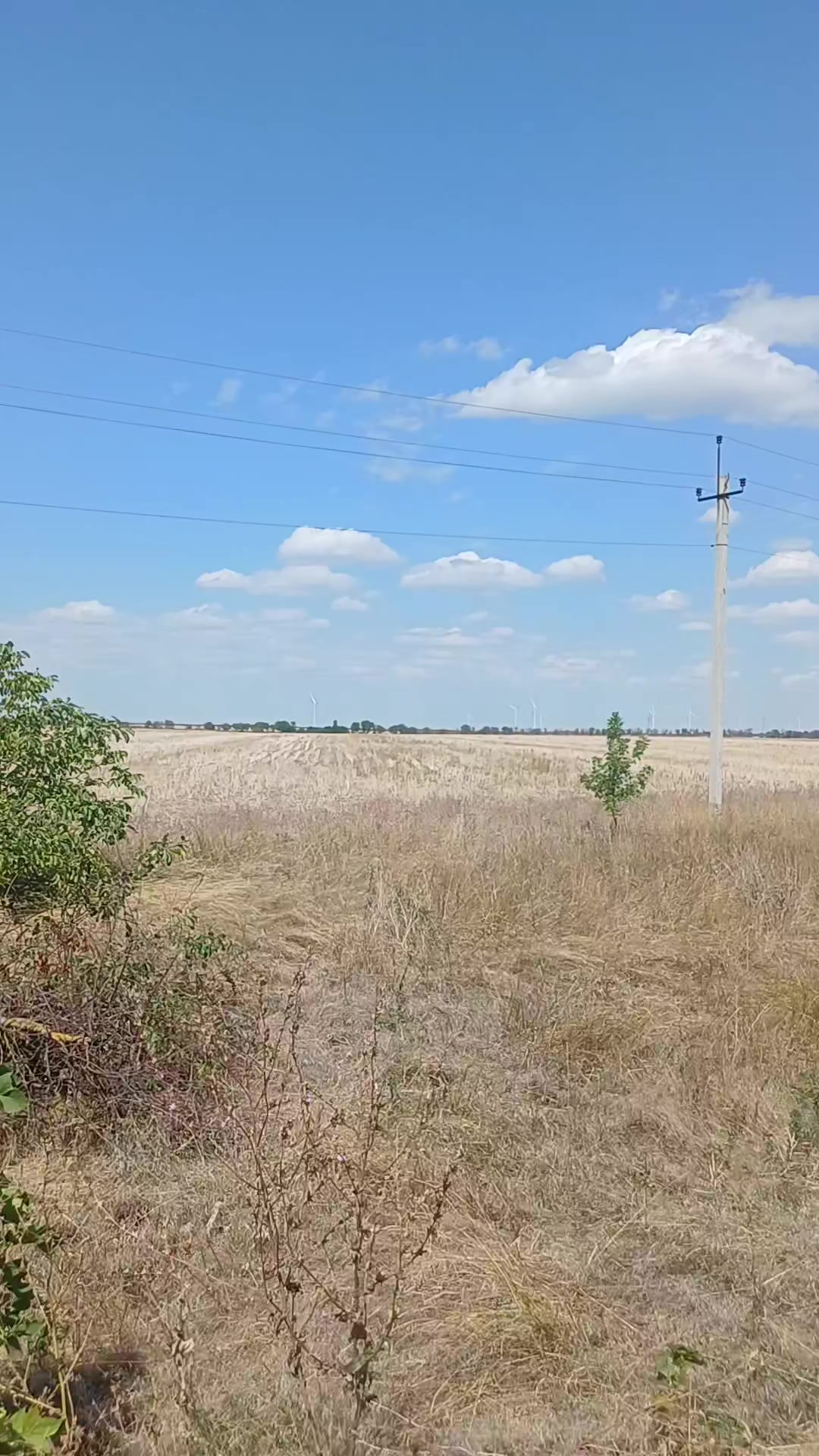 @Саша ( Метр )