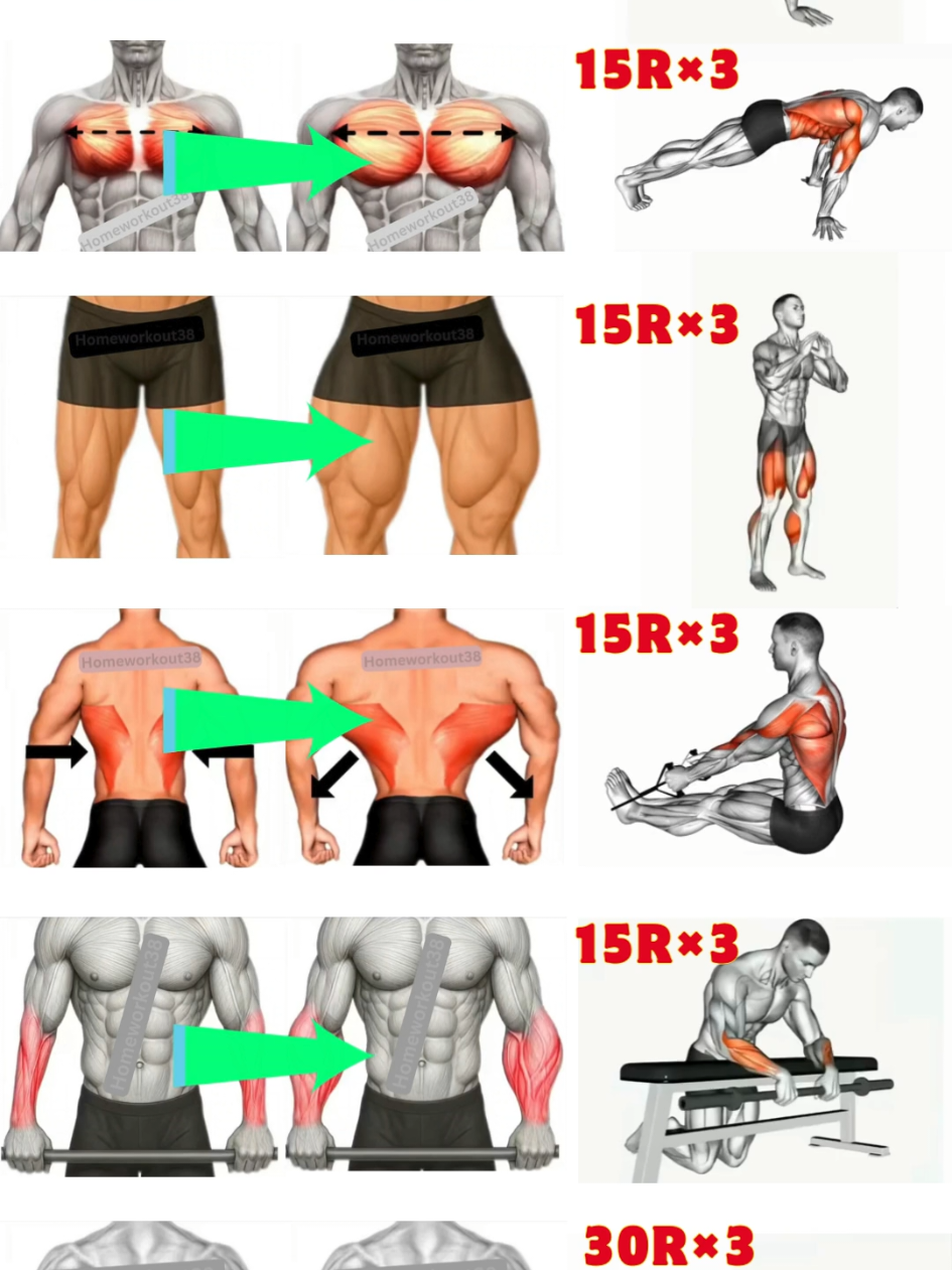 @HOMEWORKOUT