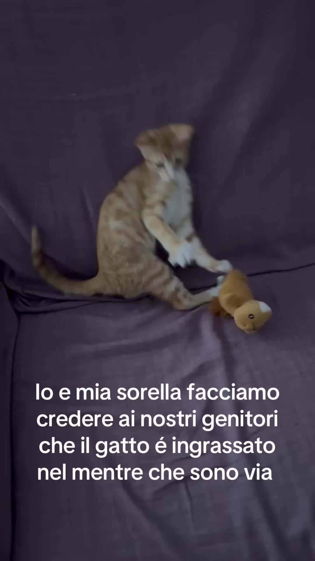 @Down totali