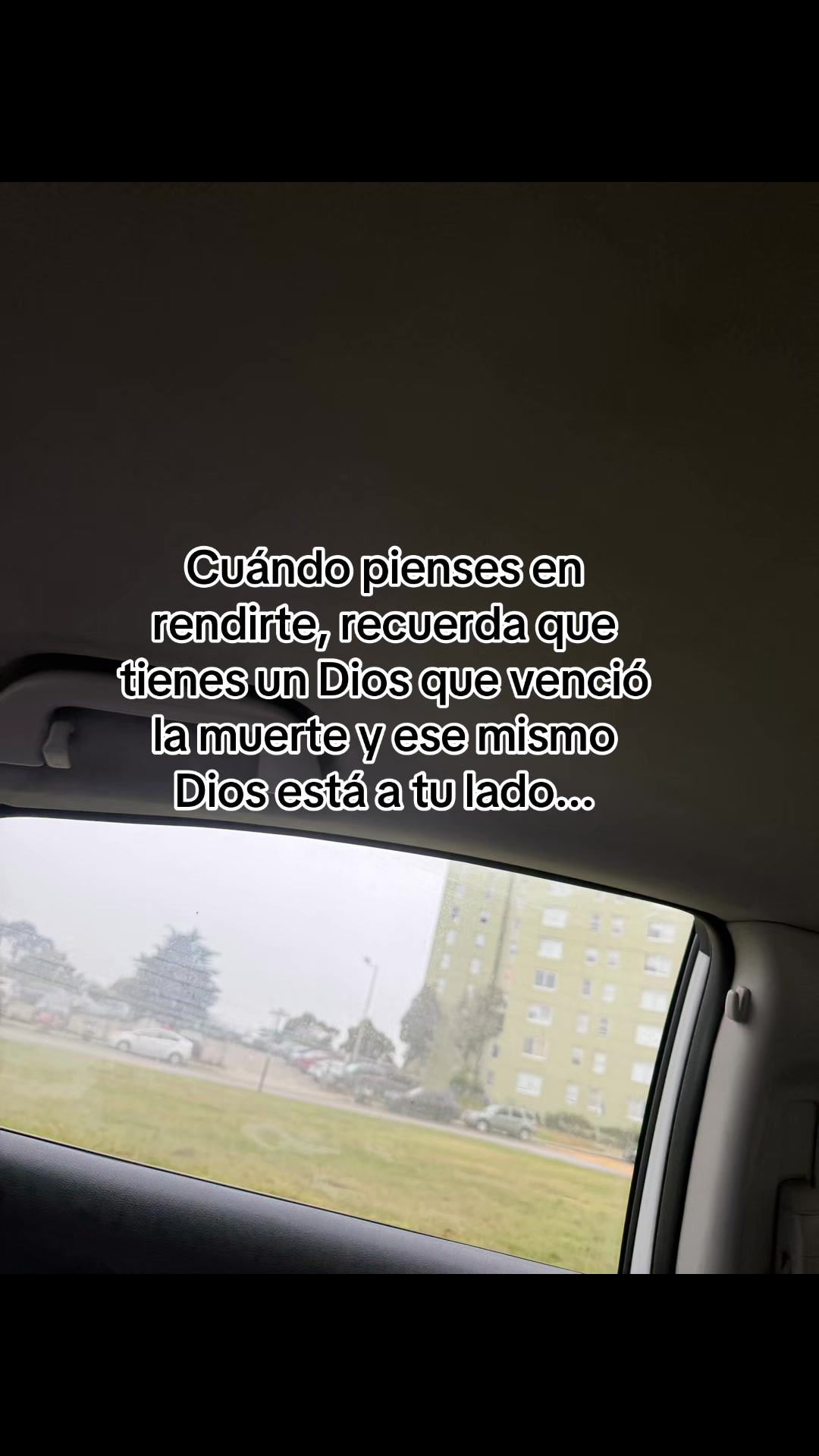 @Leticia Castanon