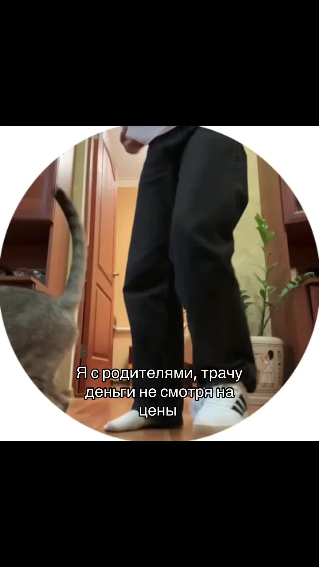 @vladdkaa🐒