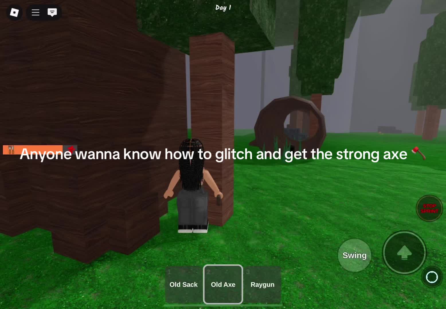 @Roblox_kid