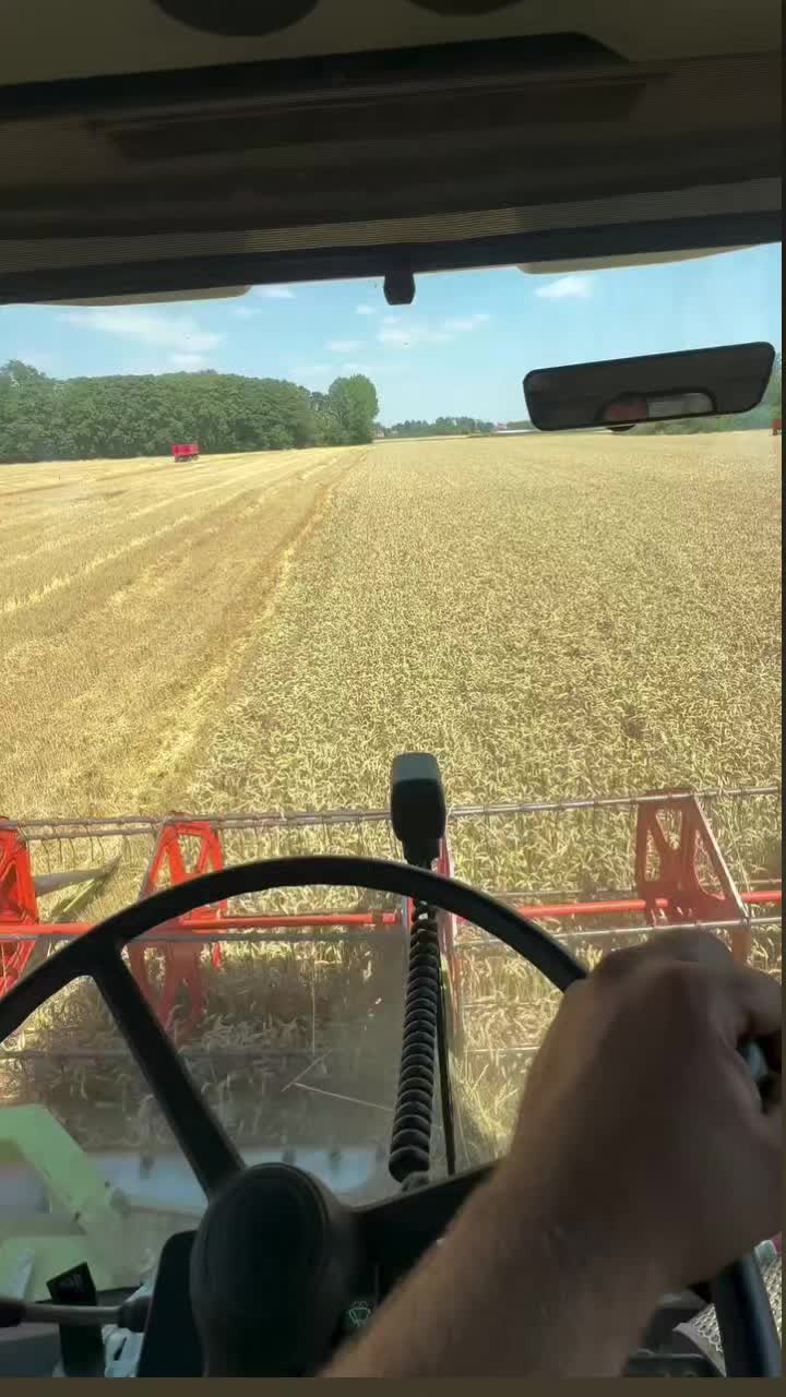 @Keša