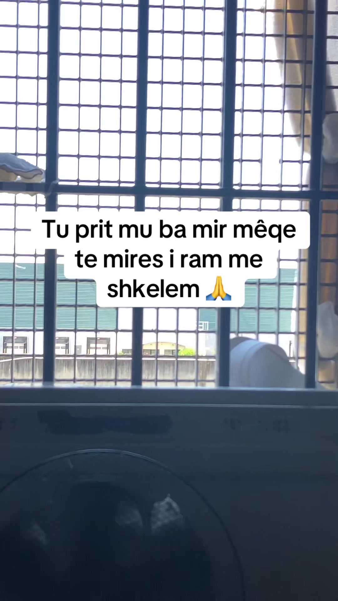 @👑🔥BEKAKTU🔥👑