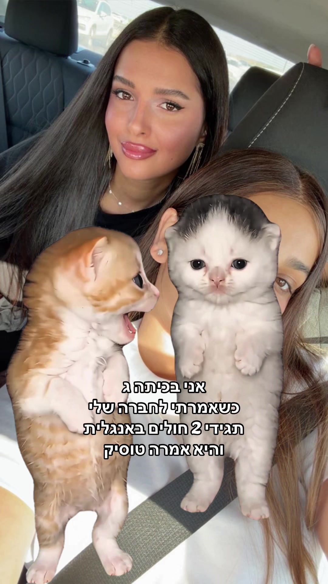 @hanimalca