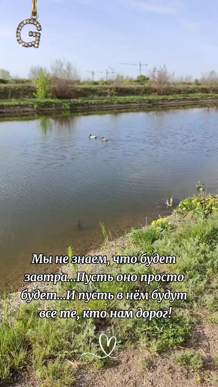 @Гульфия