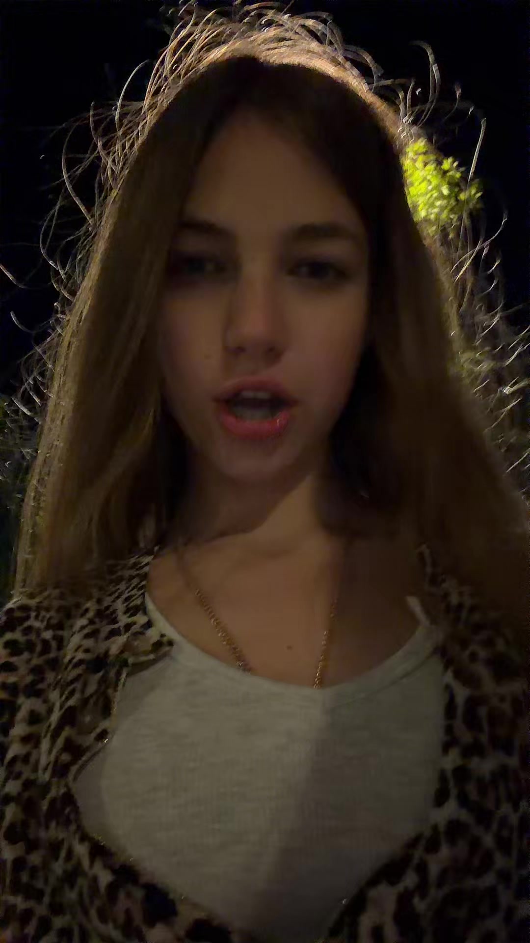 @leo_nil🐆