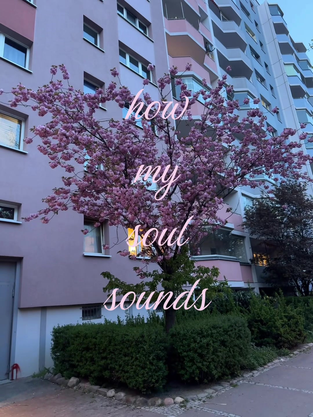 @່