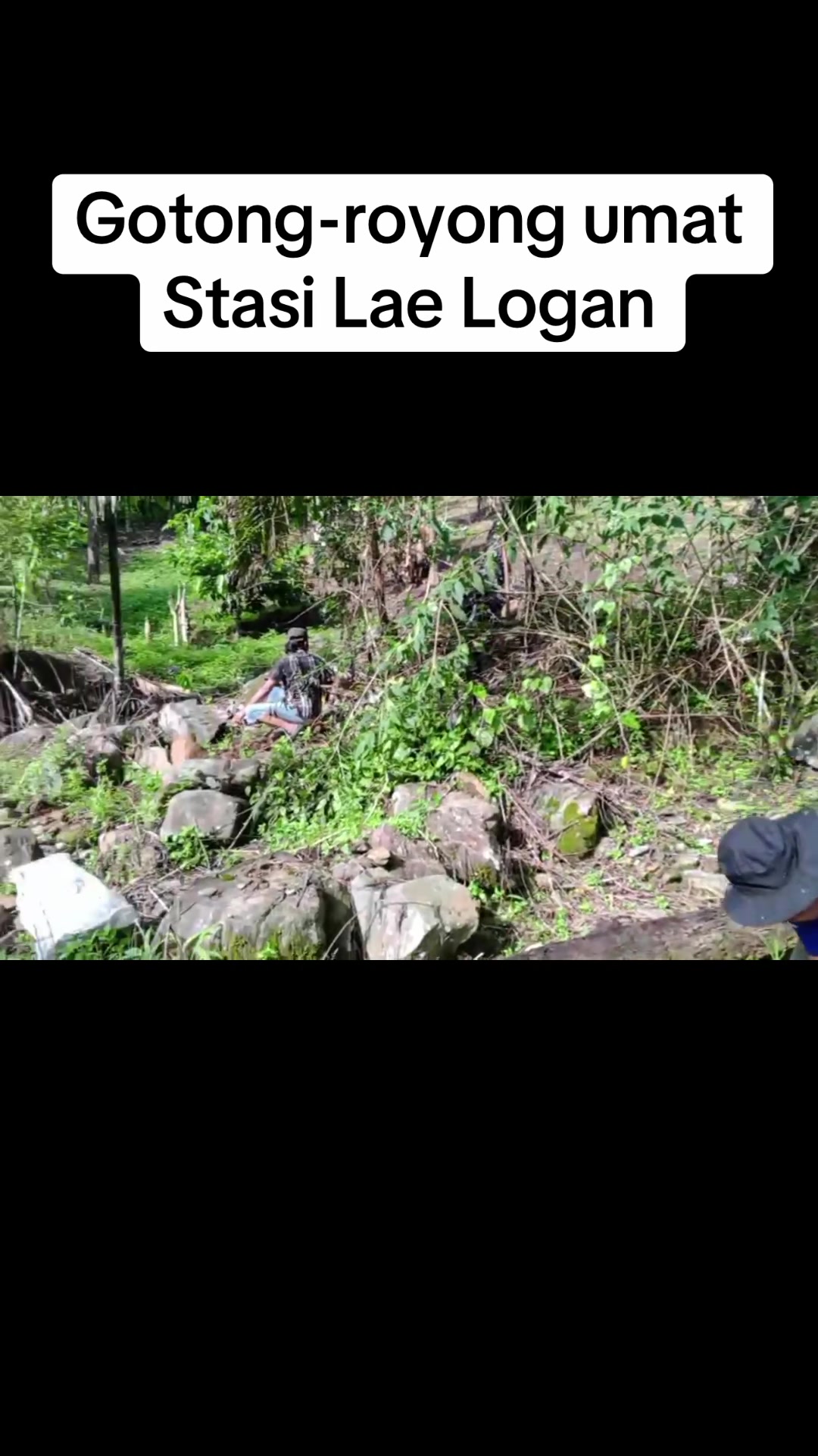 @Julianus Tarigan