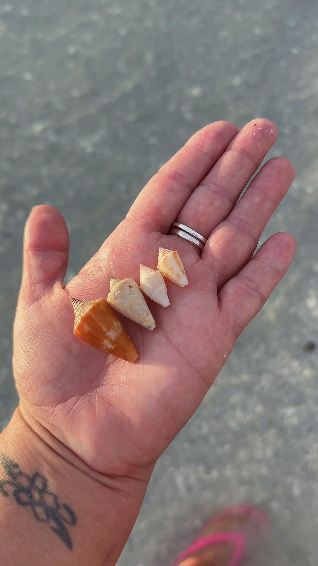 @🌺🐚🌴SarahMay🌴🐚🌺