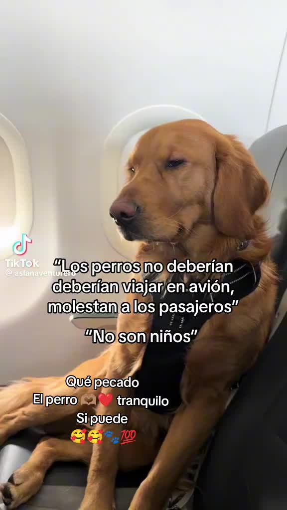 @Snoopy Mundo 123🇨🇴 🐢