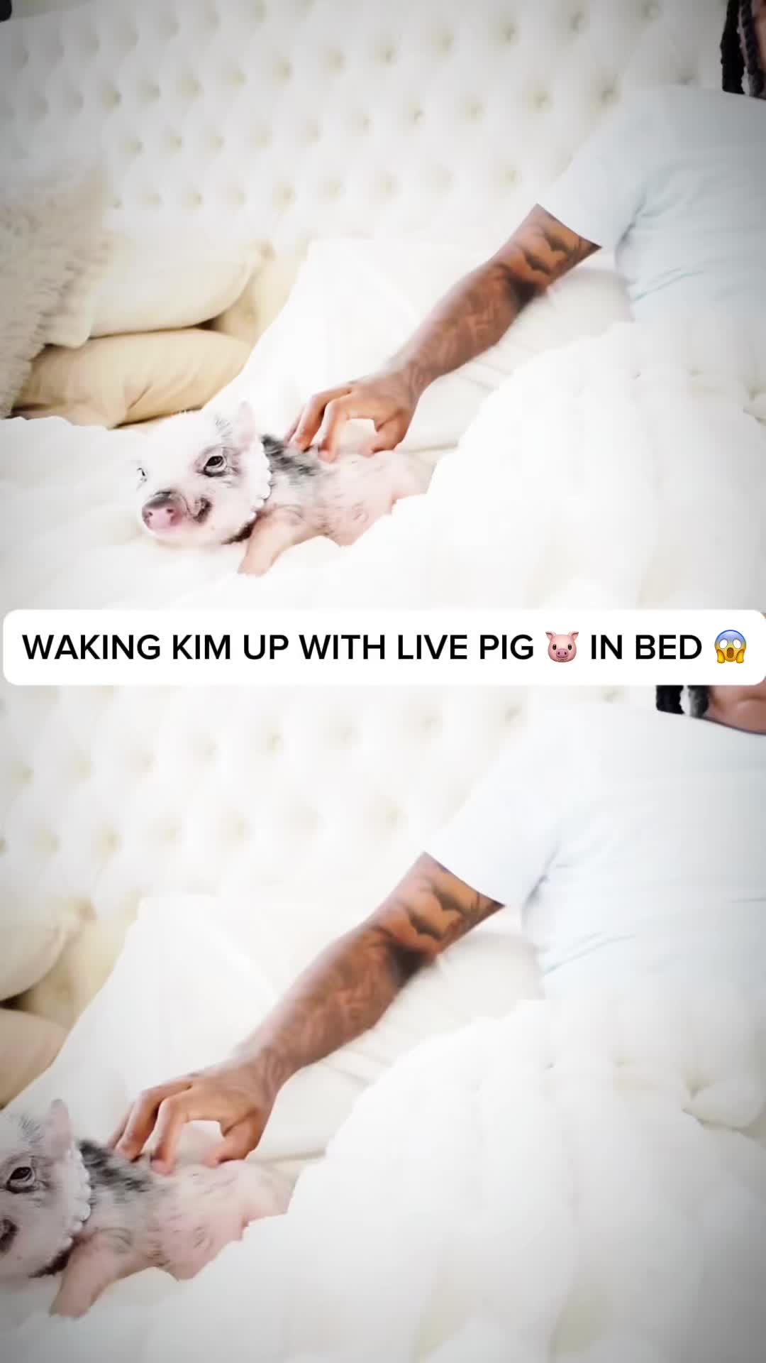 @Phoenix.CrazyPrank