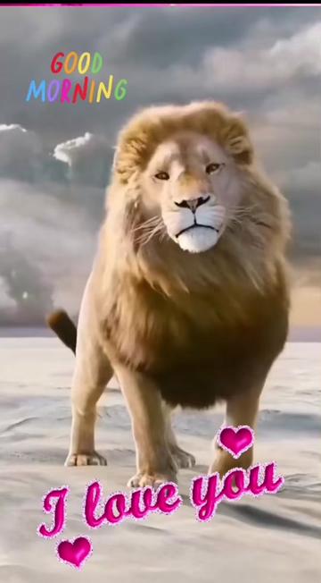 @born as a queenSJ