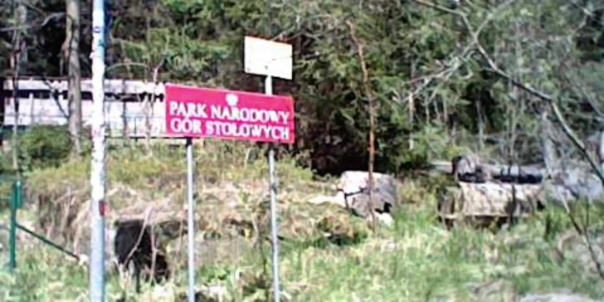 @Żul polny