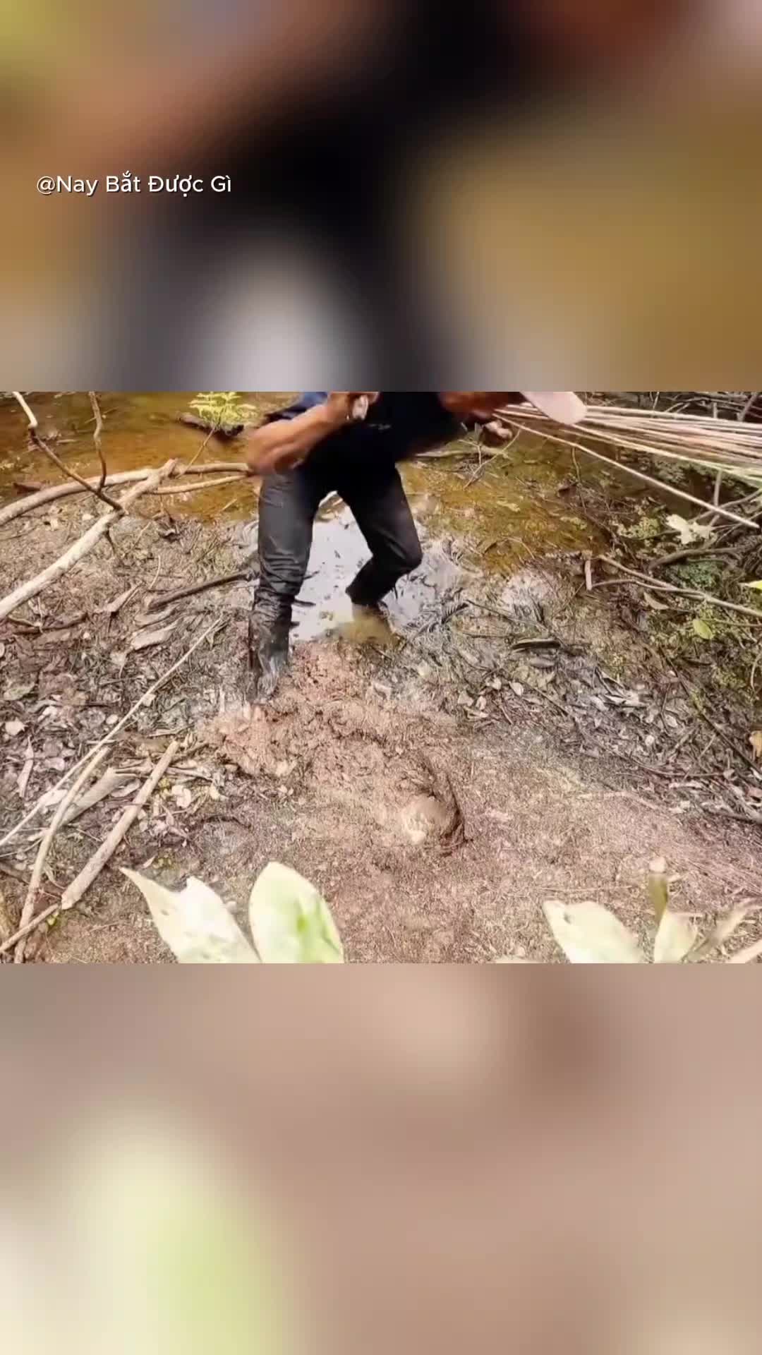 @Nay Bắt Được G&igrave;