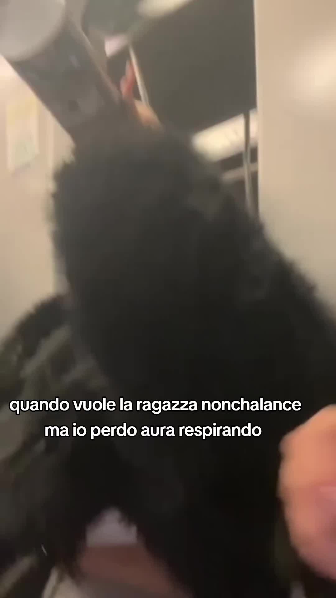 @spam memy