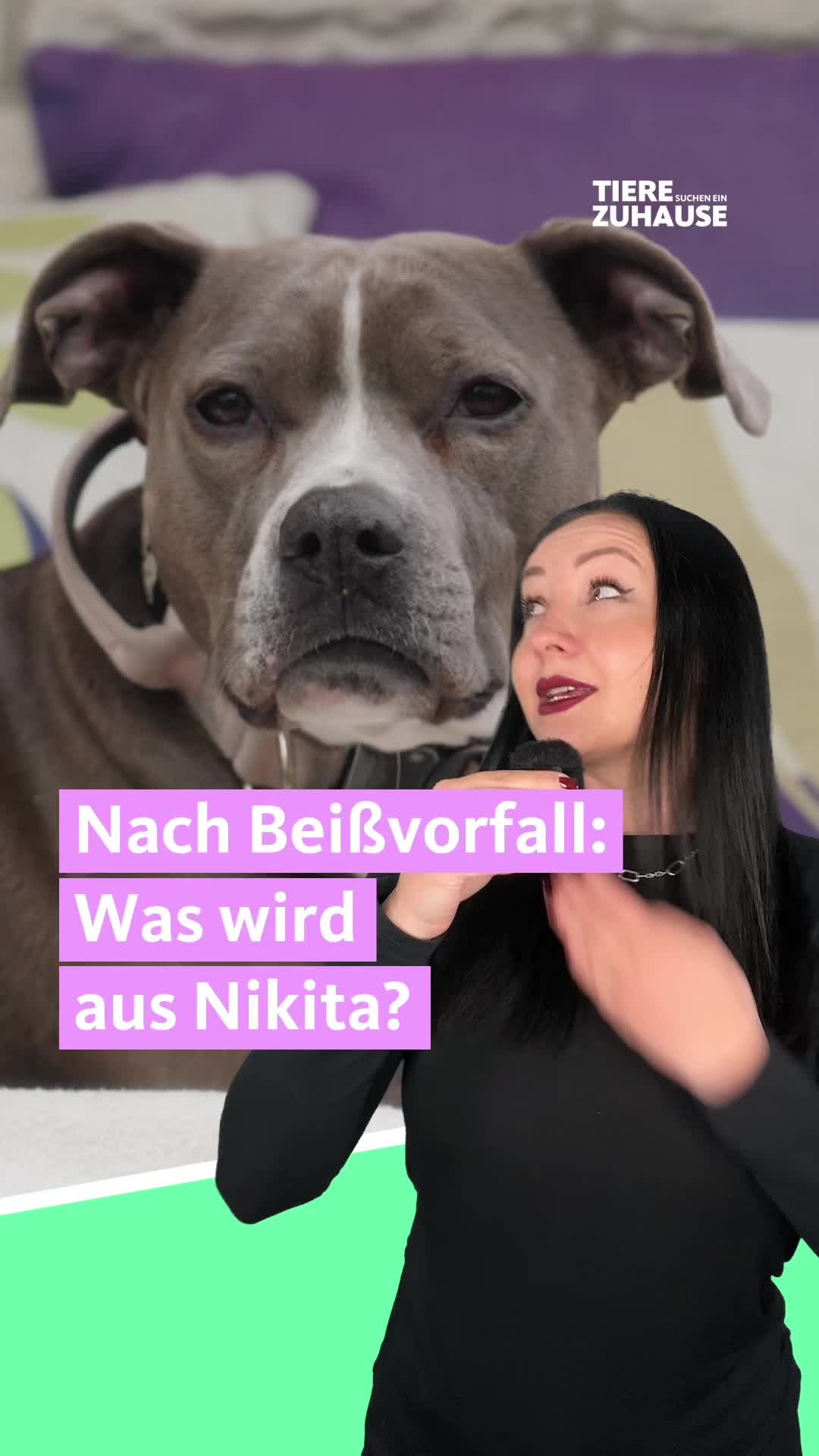 @Tiere suchen ein Zuhause